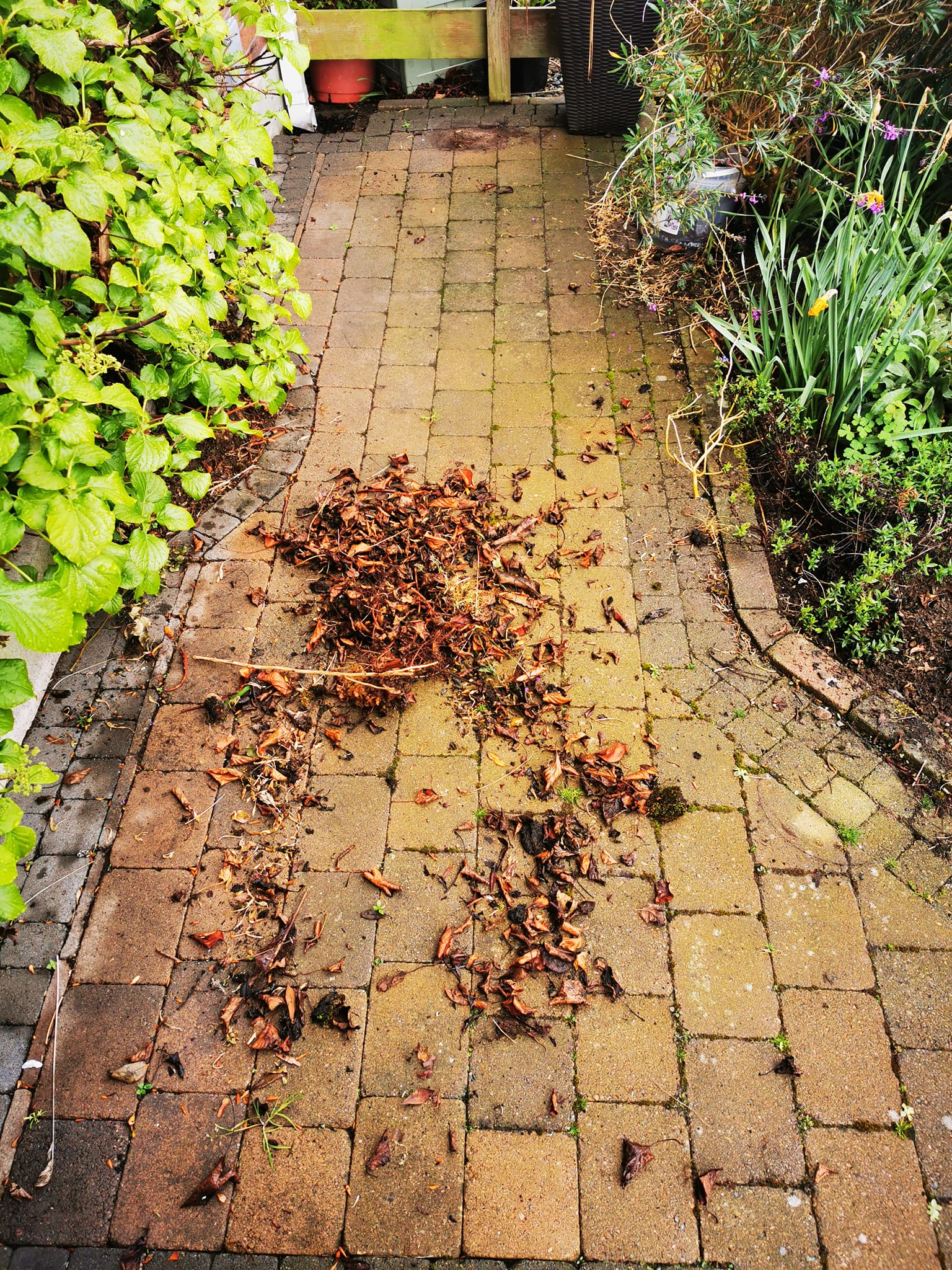 patio cleaning county down